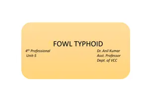 Understanding Fowl Typhoid: Causes, Transmission, Clinical Signs, and Control Measures