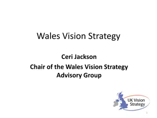 Wales Vision Strategy Overview