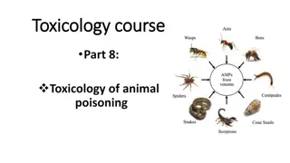 Understanding Animal Venom and Snake Classification in Toxicology