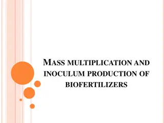 Biofertilizers: Multiplication, Types, Advantages, and Applications