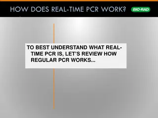 Real-Time PCR: A Visual Journey from Basics to Application