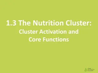 The Nutrition Cluster Activation and Core Functions