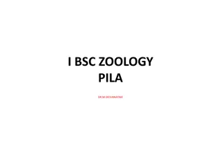 Exploring the Anatomy and Behavior of Pila Globosa in Zoology