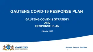 Gauteng COVID-19 Response Strategy Overview