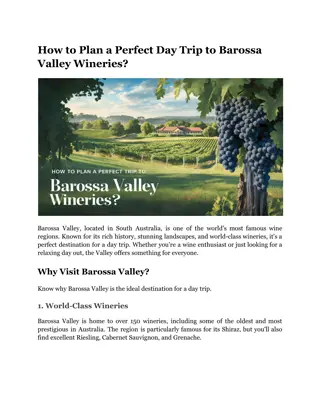 How to Plan a Perfect Day Trip to Barossa Valley Wineries?