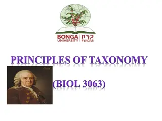 Fundamentals of Taxonomy Explained: From Classification to Nomenclature