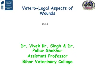 Understanding Vetero-Legal Aspects of Wounds in Veterinary Practice