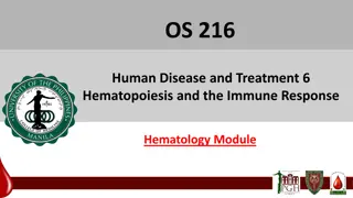 Comprehensive Overview of Hematopoiesis and Immune Response in Human Disease and Treatment