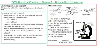 GCSE Required Practical Biology Experiments Overview
