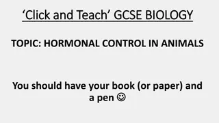 Hormonal Control in Animals: GCSE Biology Lesson