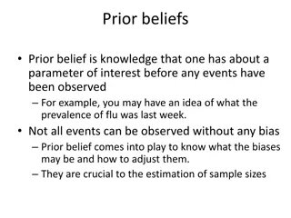 Understanding Prior Beliefs and Eliciting Expert Opinions in Parameter Estimation