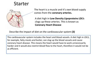 Impact of Diet on Cardiovascular Health
