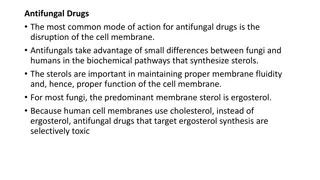 Antifungal Drugs: Modes of Action and Applications