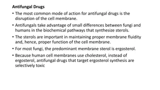 Understanding Antifungal Drugs: Modes of Action and Applications