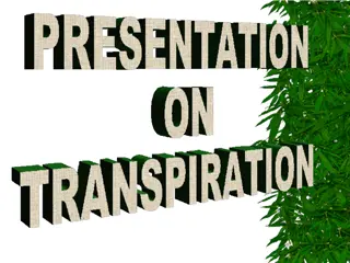 Transpiration and Gas Exchange in Plants