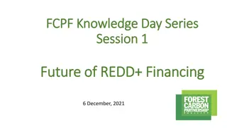 The Future of REDD+ Financing: Insights and Initiatives