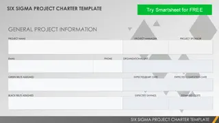 Six Sigma Project Charter Template Overview