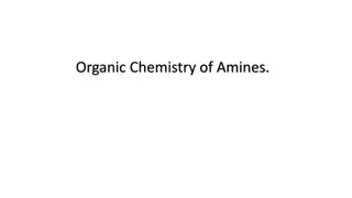 Amines in Organic Chemistry