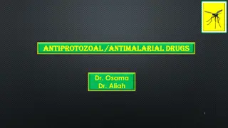 Understanding Antimalarial Drugs and Malaria Transmission