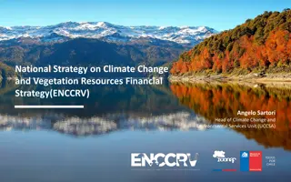Financial Strategy for National Strategy on Climate Change and Vegetation Resources
