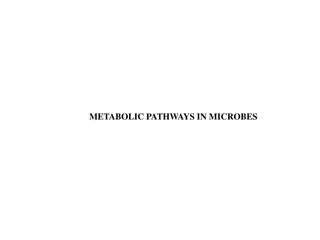 Understanding Metabolic Pathways in Microbes