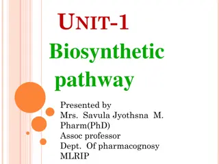 Understanding Biosynthetic Pathways in Living Organisms