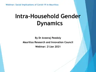 Exploring Intra-Household Gender Dynamics and Domestic Violence Impacts of Covid-19 in Mauritius