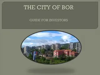 Exploring the City of Bor: A Geographical Overview