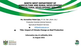 Impact of Climate Change on Beef Production: Insights from Research