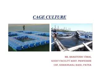 Cage Culture in Aquaculture