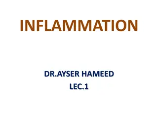 Understanding Inflammation and Its Characteristics