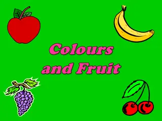 Colorful Variety of Fruits