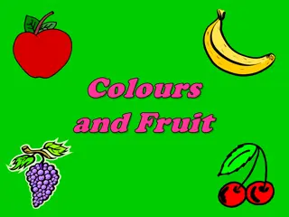 Exploring a Colorful Variety of Fruits