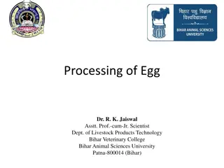 Overview of Egg Processing and Functional Properties