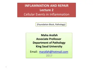 Cellular Events in Inflammation and Repair