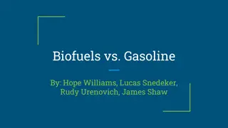 Pros and Cons of Biofuels in Comparison to Gasoline