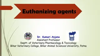 Euthanizing Agents in Veterinary Practices