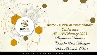 Insights into the merSETA Virtual InterChamber Conference February 2023