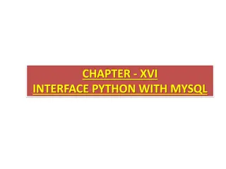 Python Interface with MySQL: Database Programming Basics