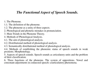 Understanding the Functional Aspect of Speech Sounds