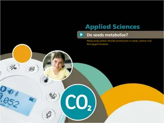 Seed Metabolism: Measuring Carbon Dioxide Production Before and During Germination