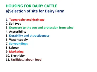 Essential Factors for Selecting a Dairy Cattle Farm Site