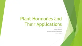 Understanding Plant Hormones and Their Roles in Growth and Development