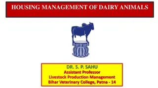 Housing Management of Dairy Animals: Objectives, Advantages, and Systems