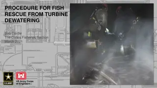 Guide to Fish Rescue from Turbine Dewatering Process