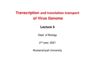 Transcription and Translation of Virus Genome