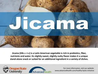 Discover the Health Benefits of Jicama: A Nutrient-Rich Latin American Vegetable