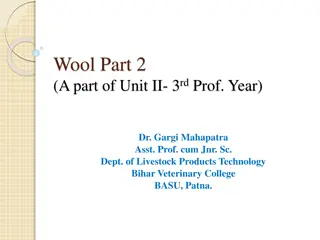 Development of Wool Follicles in Sheep: A Detailed Overview