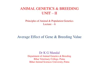 Understanding Average Gene Effect and Breeding Value in Animal Genetics