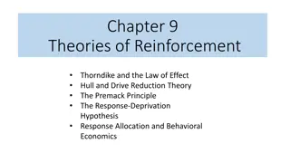 Theories of Reinforcement in Behavioral Economics